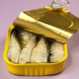 Canned Fish